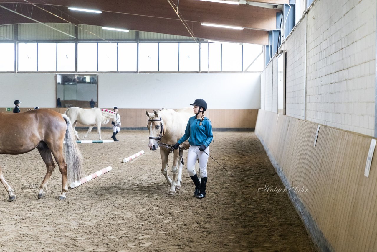 Bild 5 - Pony Akademie Turnier